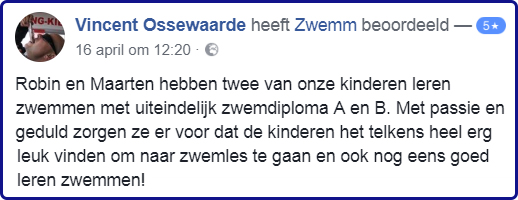 Recensie Vincent Ossewaarde.jpg